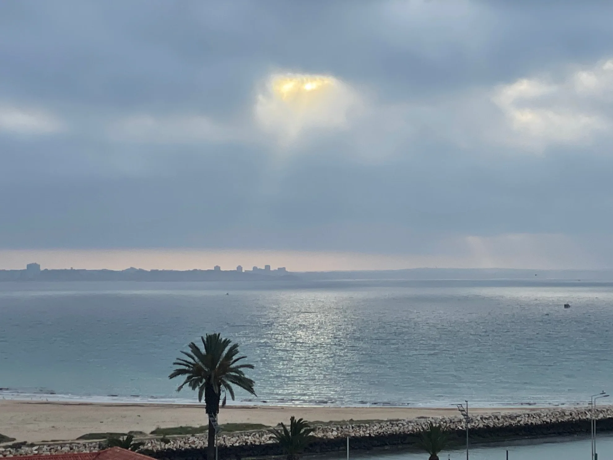 Sunlight piercing through heavy ocean storm clouds above a palm tree, symbolizing the process to break through emotional numbness and heal.