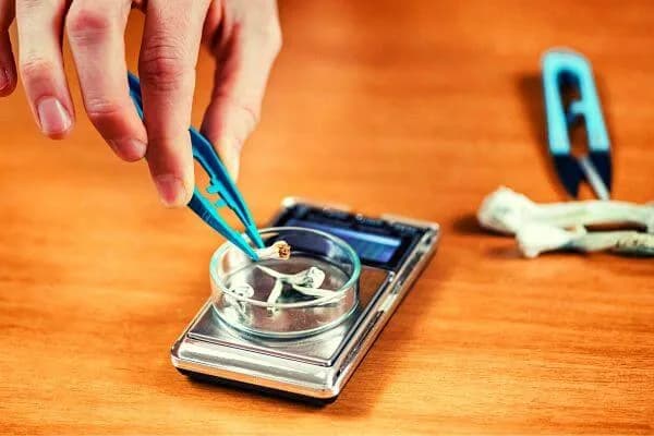 Why psilocybin alone isn’t enough
