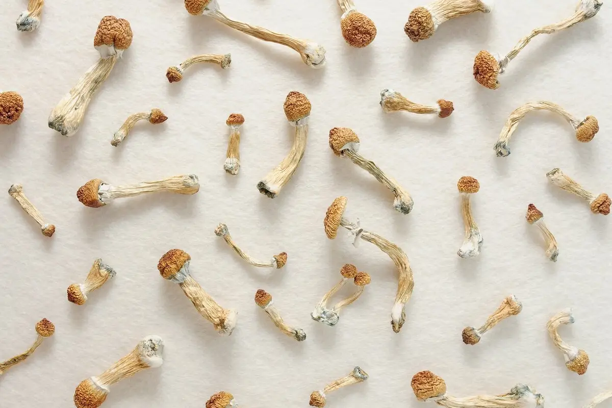 Psilocybin Microdosing for Emotional Healing