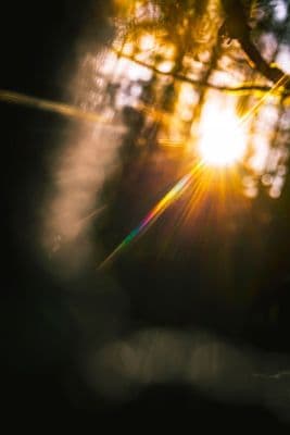Emotional Healing: What It Actually Is - and How It Really Works